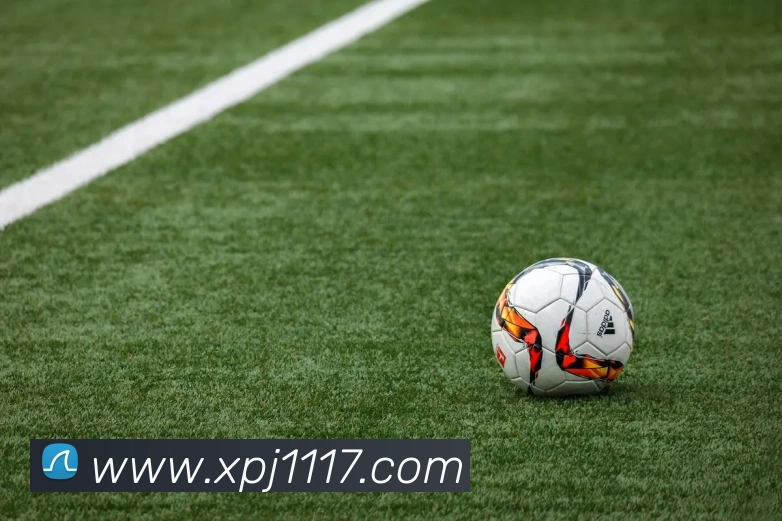 体育直播服务
